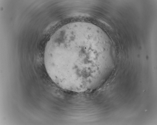 X0000077350869200611171855