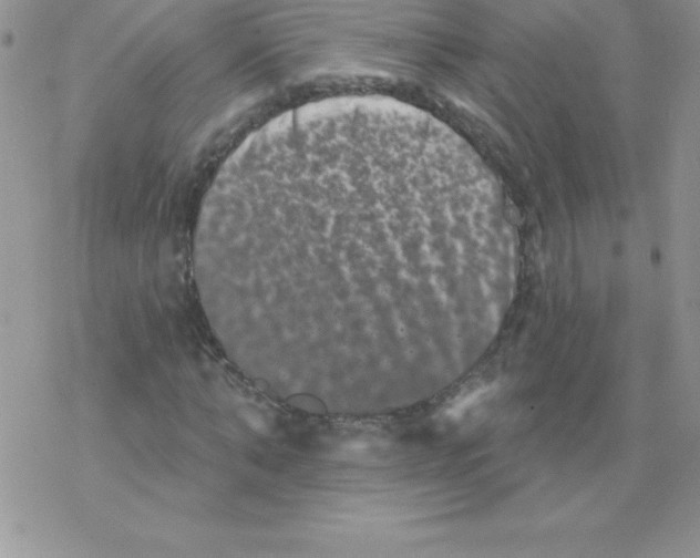 X0000077350870200611171855