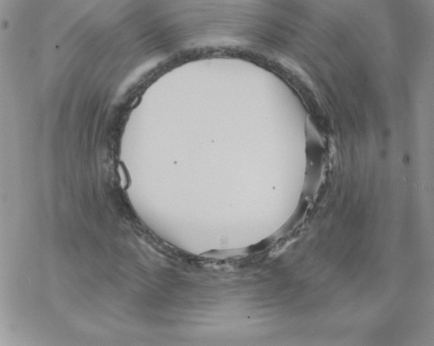 X0000077350872200611171855