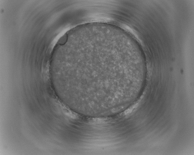 X0000077350875200611171855