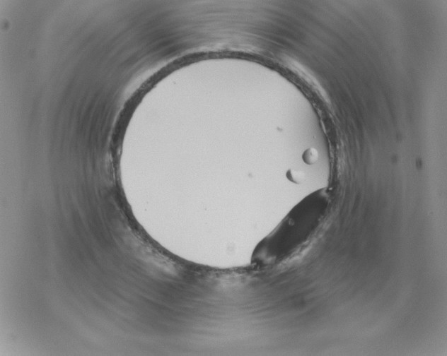 X0000077350876200611171855