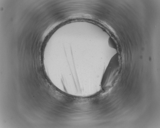 X0000077350877200611171855