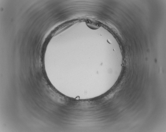 X0000077350880200611171855