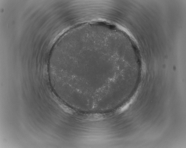 X0000077350881200611171855