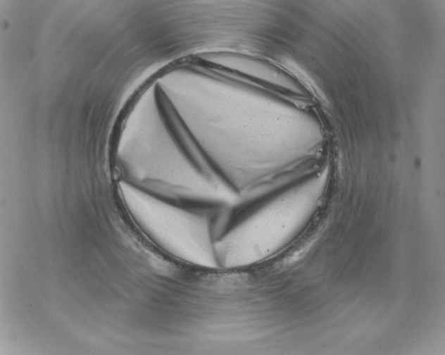 X0000077350884200611171855