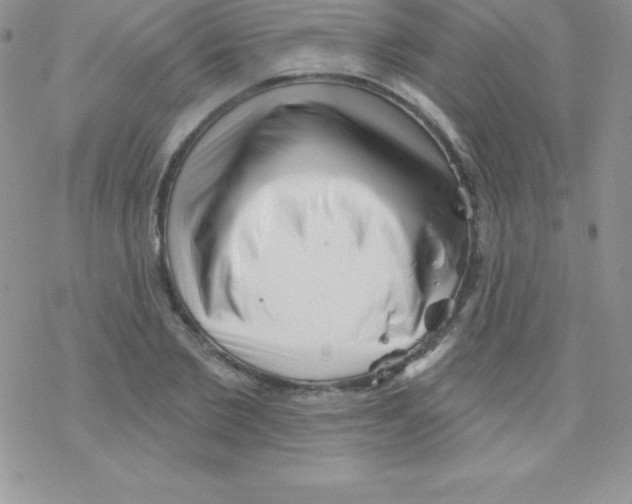 X0000077350885200611171855