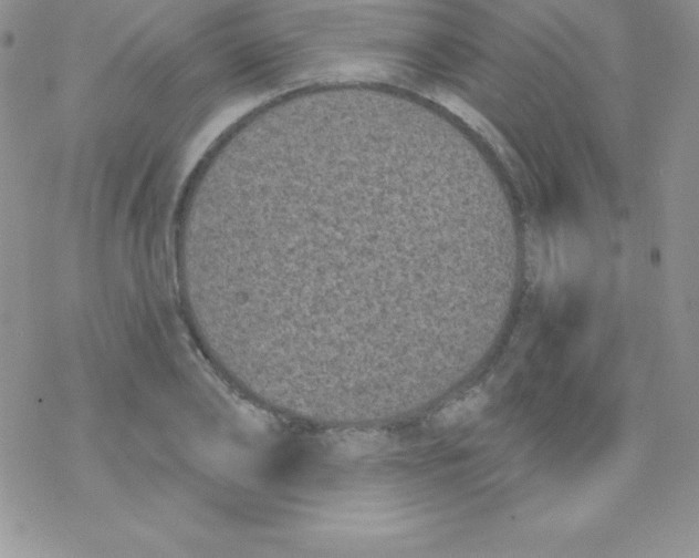 X0000077350886200611171855