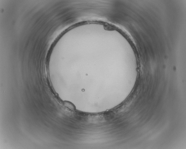 X0000077350887200611171855