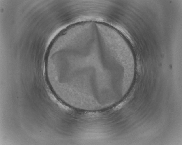 X0000077350888200611171855