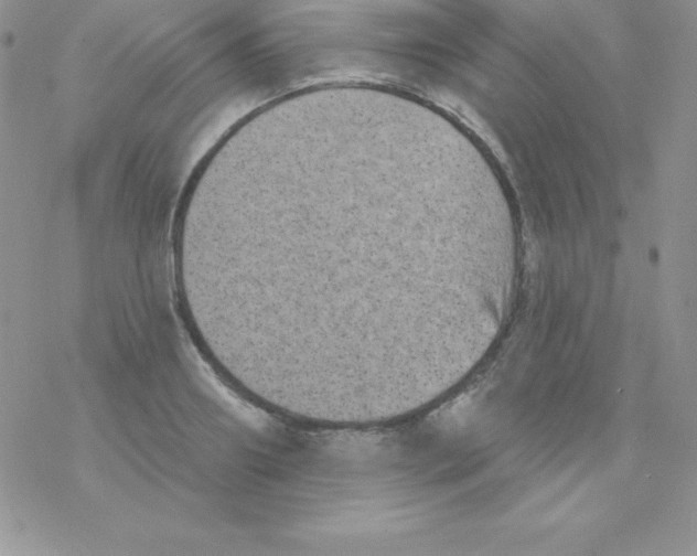 X0000077350890200611171855