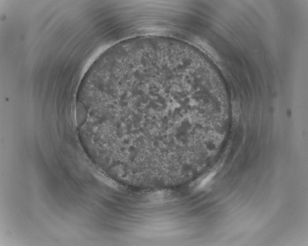 X0000077350891200611171855