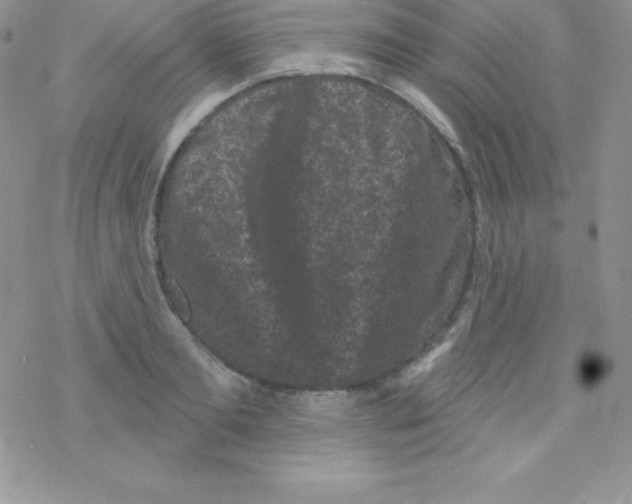 X0000077350893200611171855