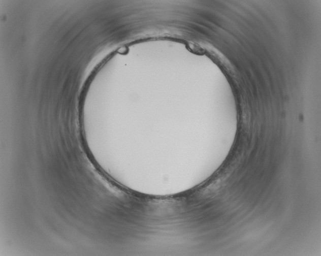 X0000077350894200611171855