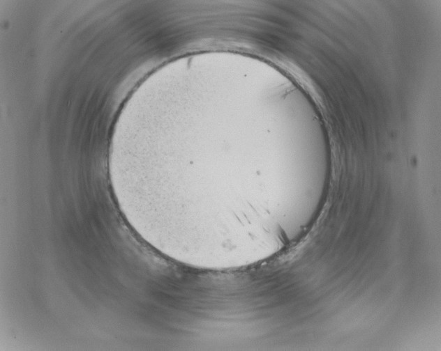 X0000077350896200611171855