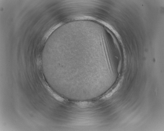 X0000077350897200611171855