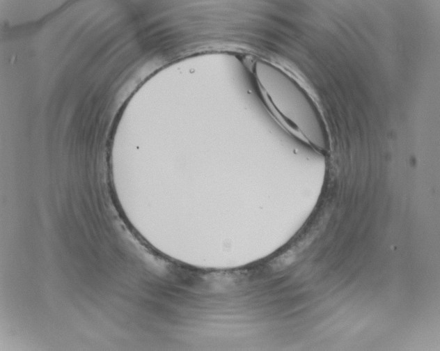 X0000077350898200611171855