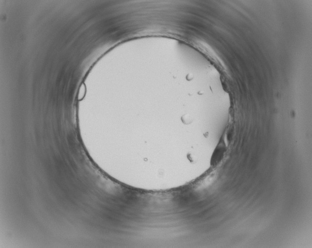 X0000077350900200611171855