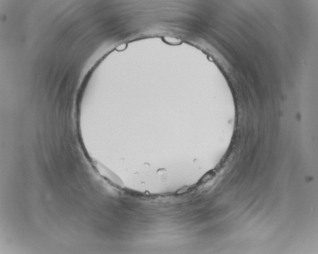 X0000077350902200611171855