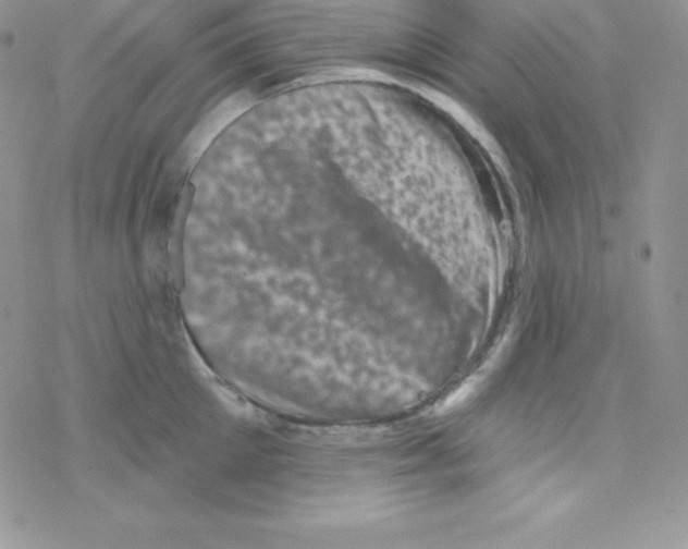 X0000077350905200611171855