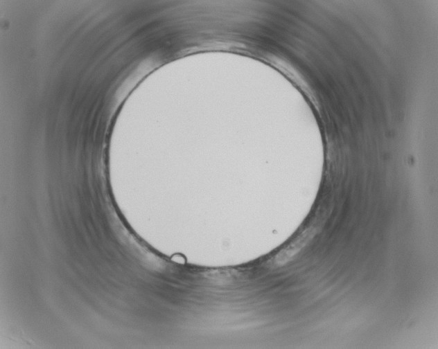 X0000077350906200611171855