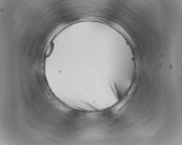 X0000077350908200611171855