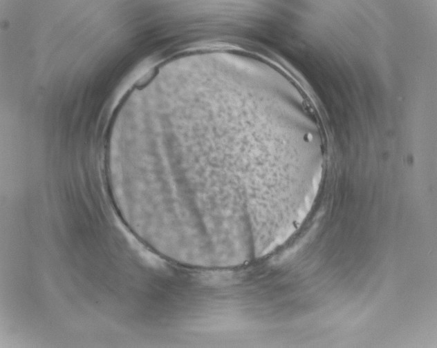 X0000077350909200611171855