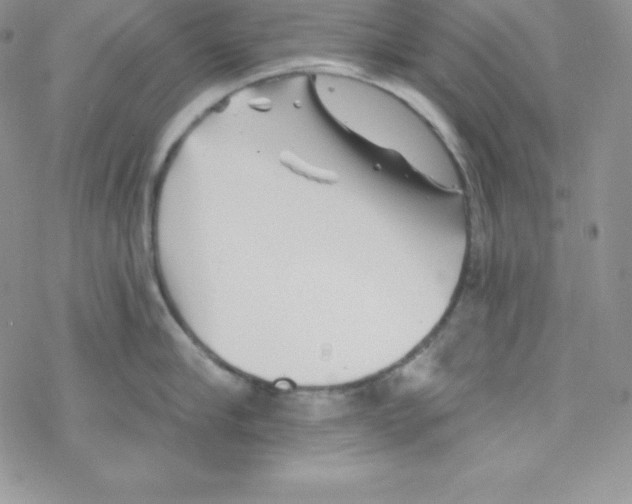 X0000077350910200611171855