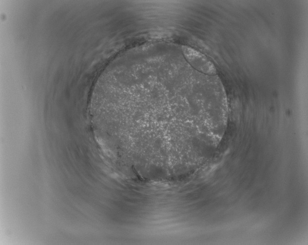 X0000077350913200611171854