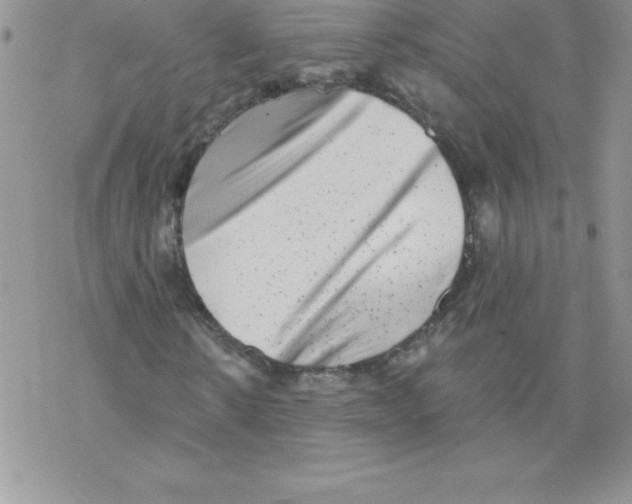 X0000077350914200611171854