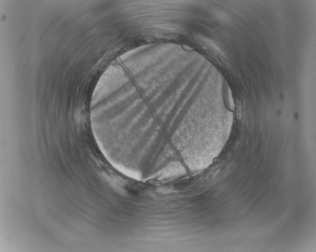 X0000077350915200611171854