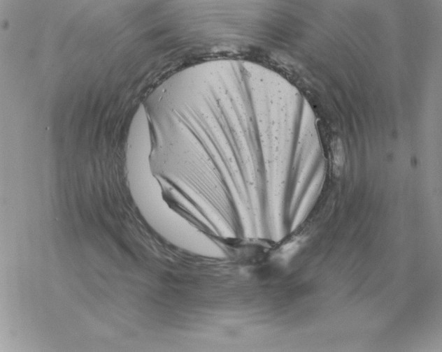 X0000077350916200611171854