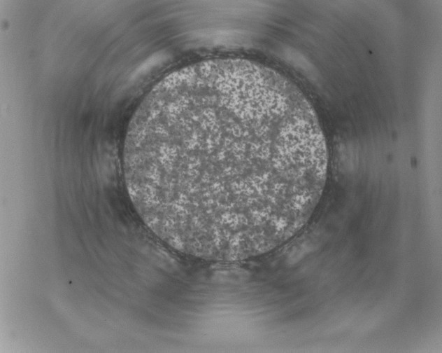 X0000077350918200611171854