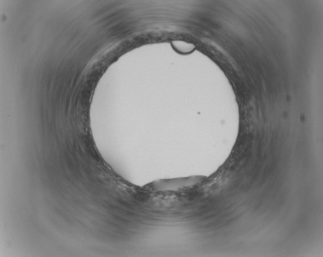 X0000077350919200611171854