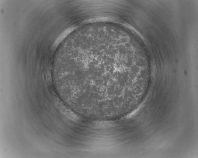 X0000077350921200611171854