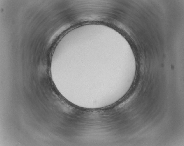 X0000077350922200611171854