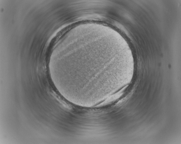 X0000077350923200611171854