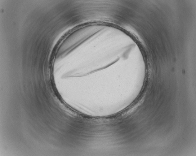 X0000077350924200611171854