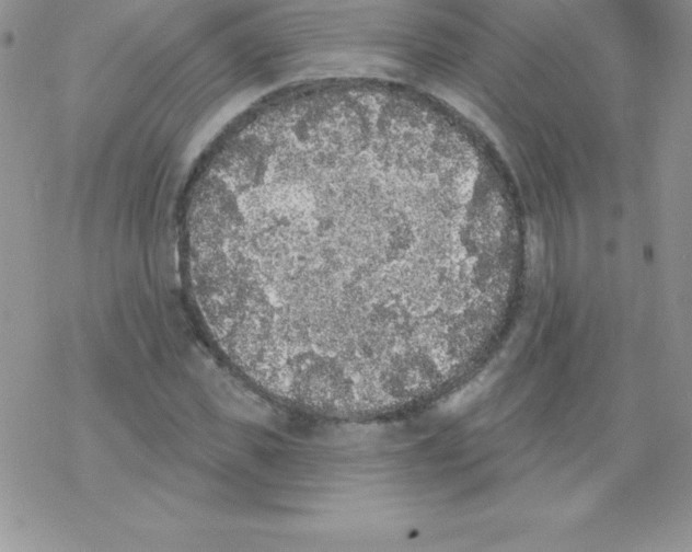 X0000077350925200611171854