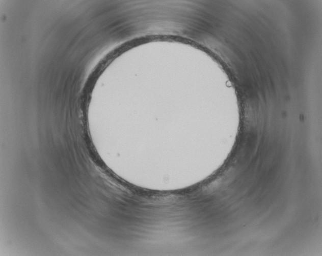 X0000077350926200611171854