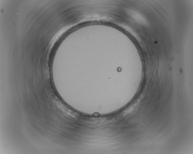 X0000077350927200611171854