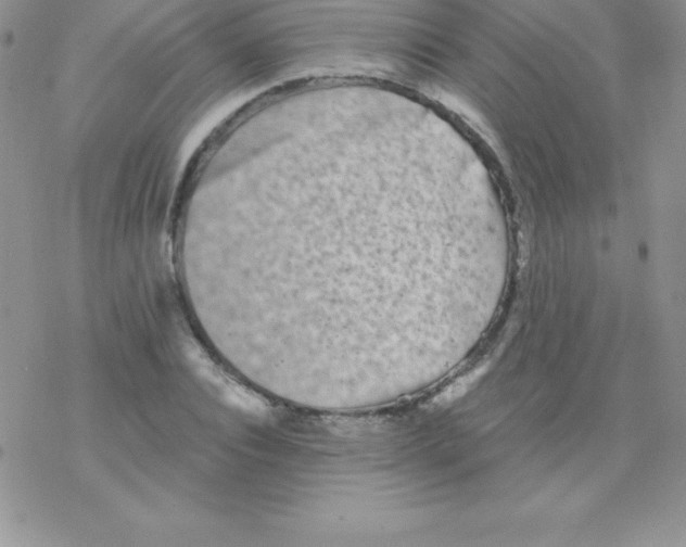 X0000077350928200611171854