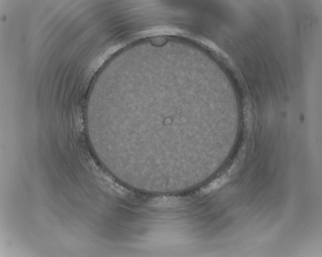 X0000077350929200611171854