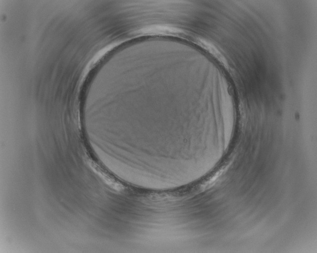 X0000077350931200611171854