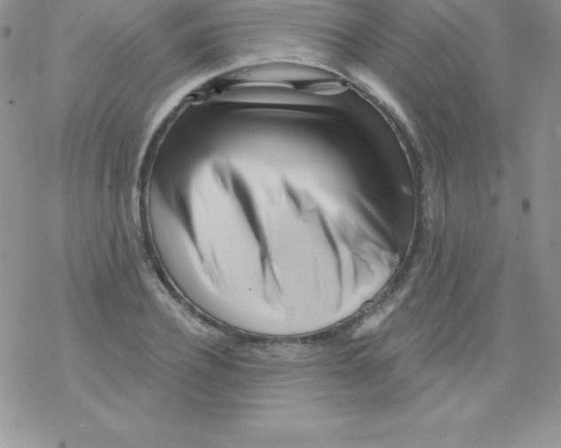 X0000077350932200611171854