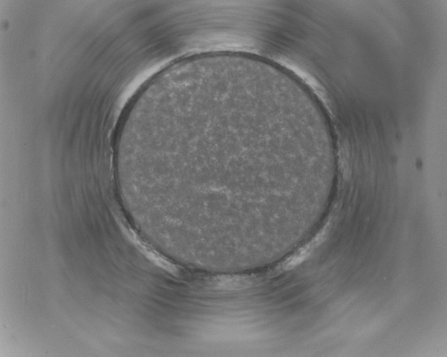 X0000077350933200611171854