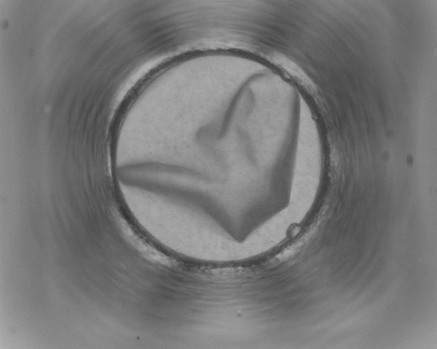 X0000077350934200611171854