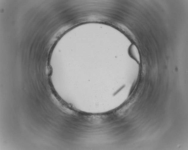 X0000077350938200611171854