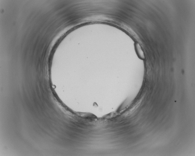 X0000077350939200611171854