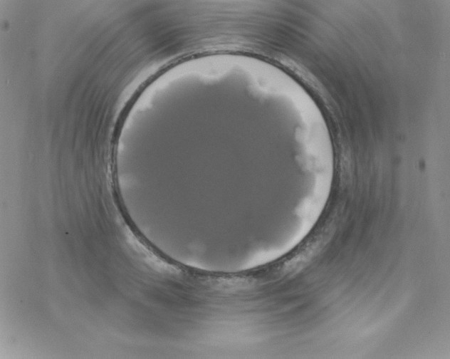 X0000077350941200611171854