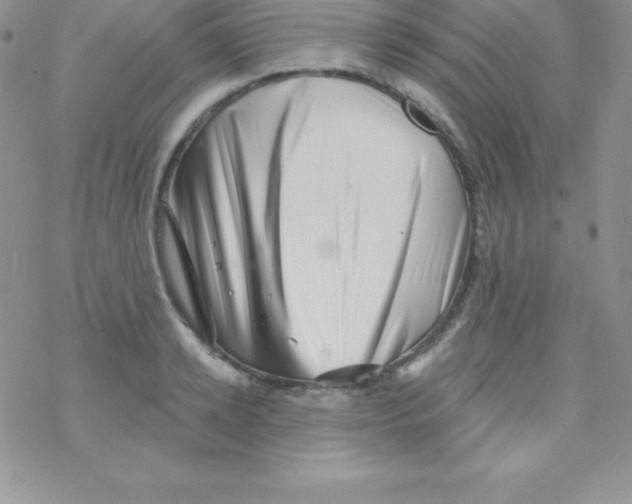 X0000077350942200611171854